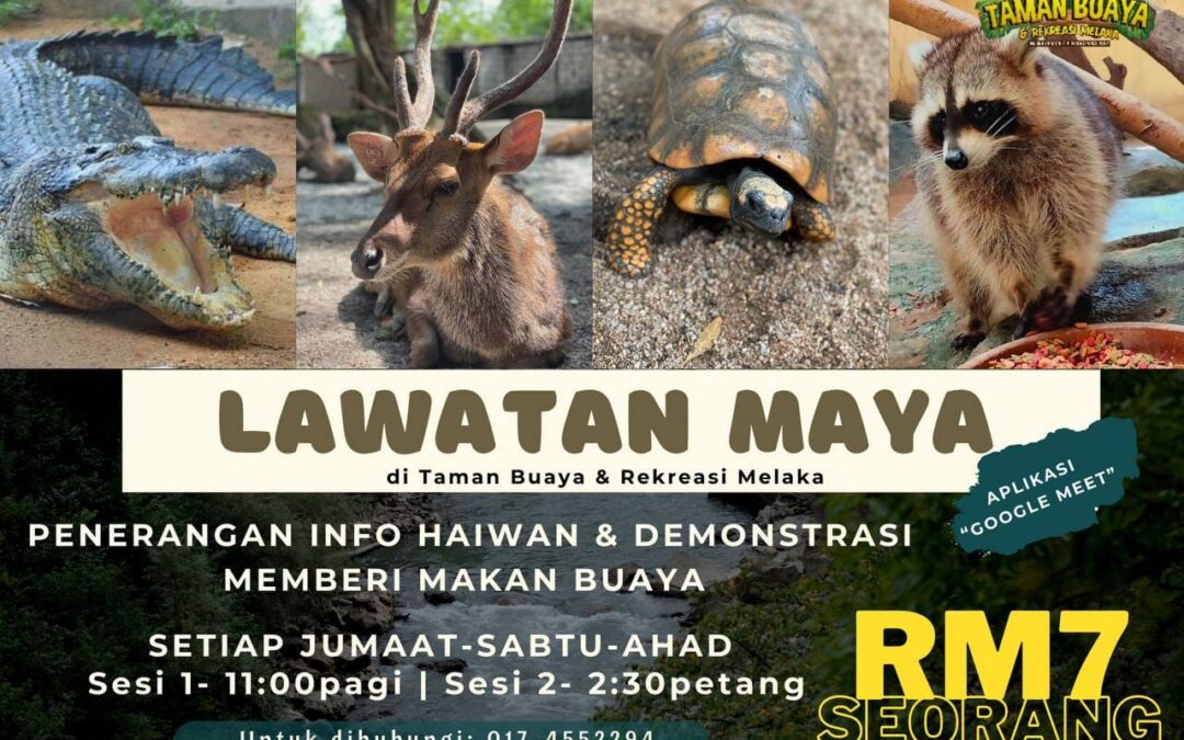 TBRM’s reptile online tours to boost tourism
