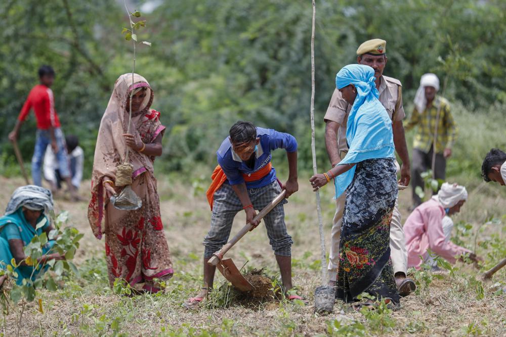 Indians plant millions of tree saplings
