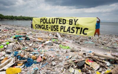 Change attitudes towards use of plastic