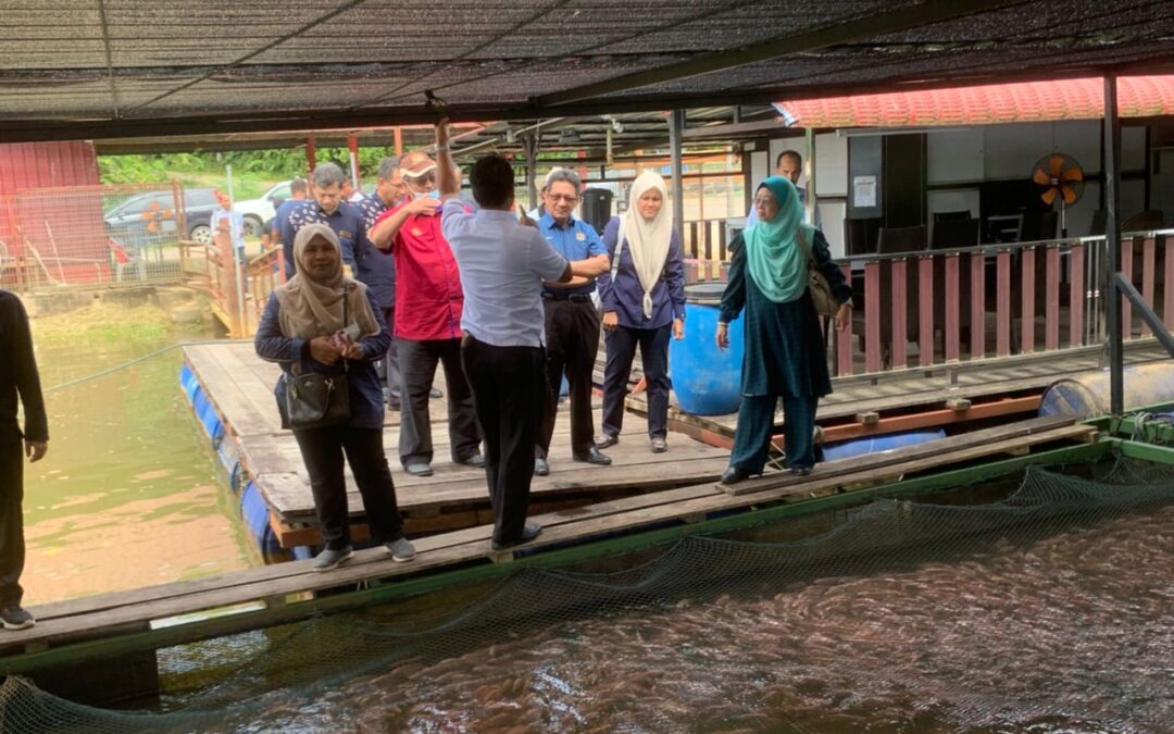 Initiatives in place to support fish farmers